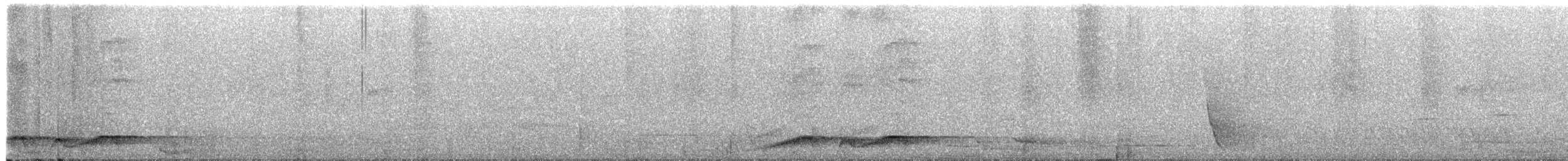 Noisy Pitta - ML643738024