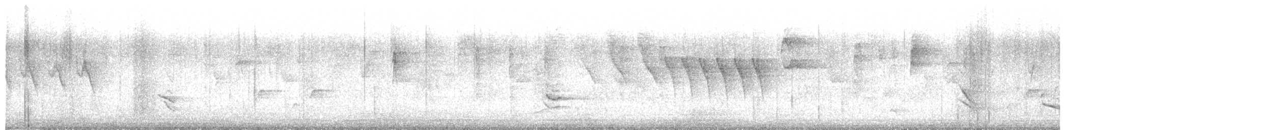 skiferhvitstjert - ML643738205