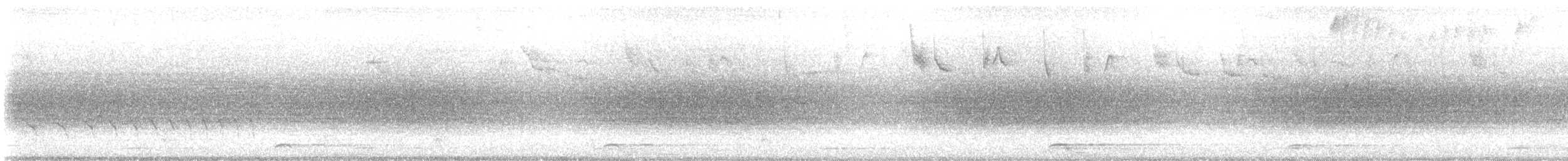 Pénélope panachée - ML643739271