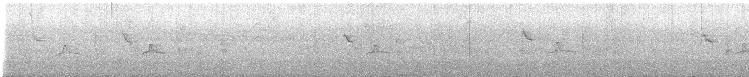 Piratic Flycatcher - ML643739530