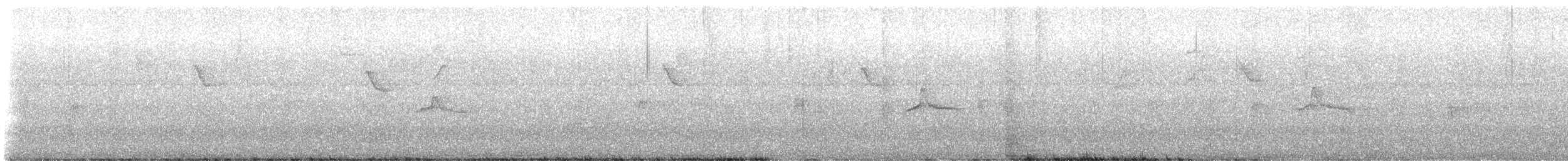 Piratic Flycatcher - ML643739579