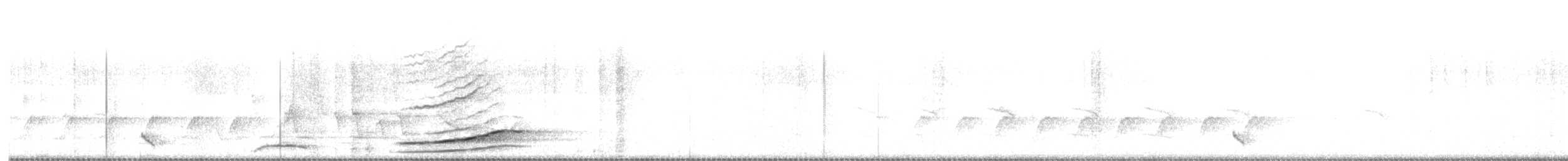 Pied Currawong - ML643740244