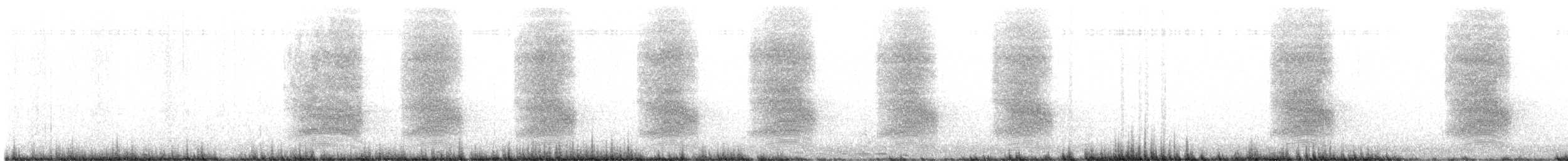 Steller's Jay - ML643741212