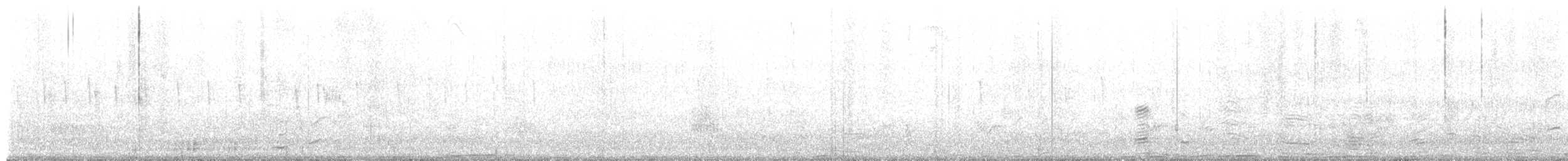 Mallard - ML643742455