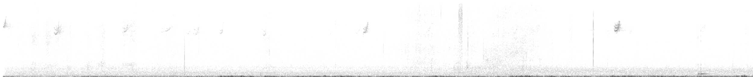 White-crowned Sparrow - ML643742850