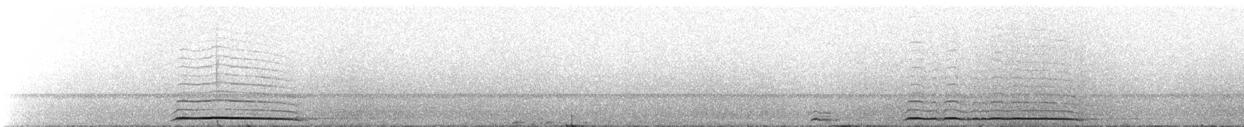 Allocco - ML643743657