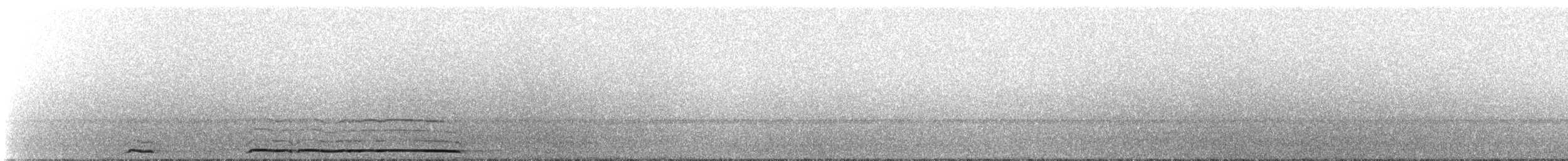 Allocco - ML643743664