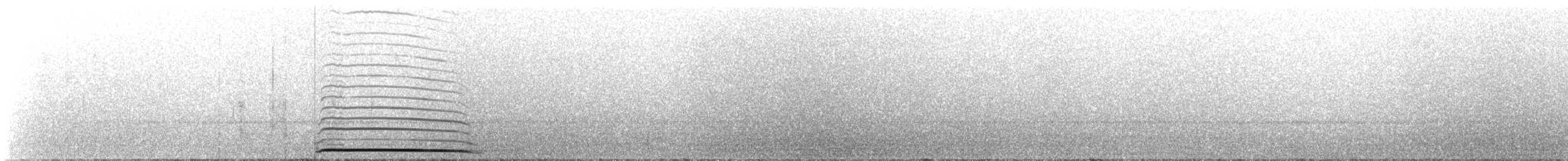 Allocco - ML643743701