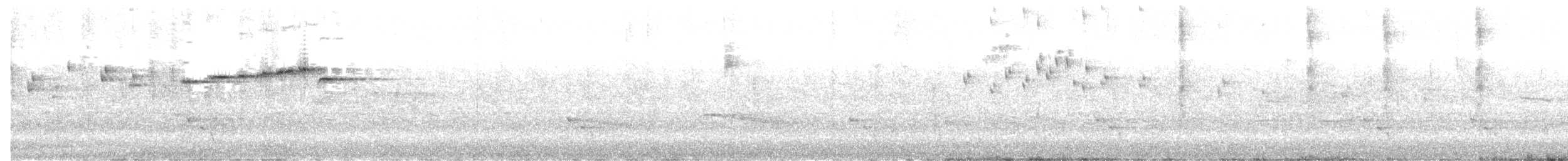 Graufächerschwanz (albiscapa) - ML643743794
