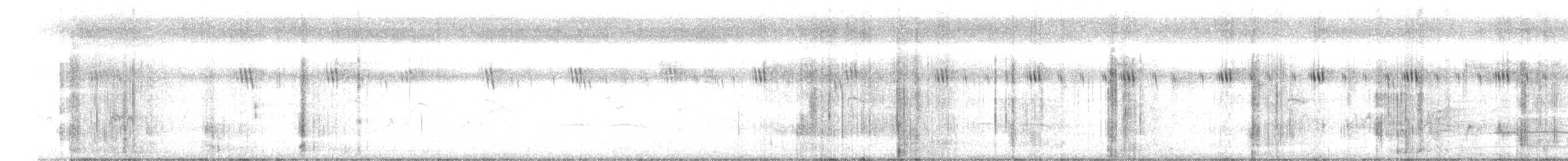 Muskatbronzemännchen - ML643747376
