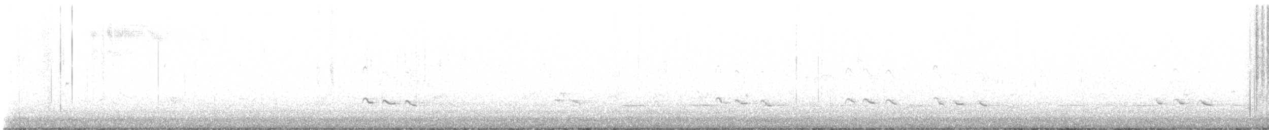 Пёстрый улит - ML643749105
