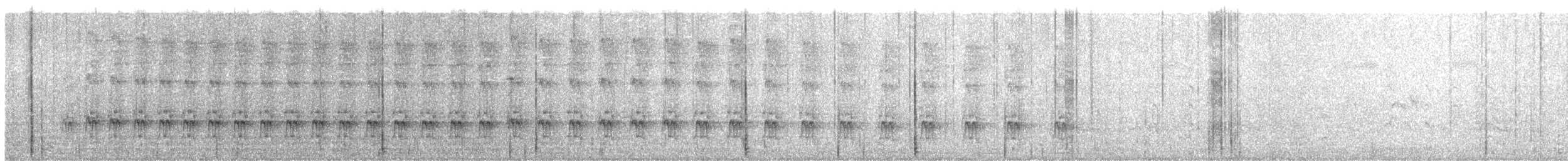 Souimanga asiatique - ML643749585