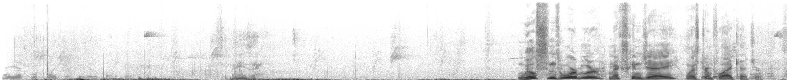 Western Flycatcher - ML643750145