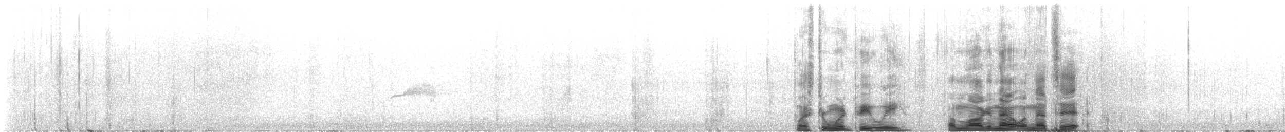 Western Wood-Pewee - ML643750342