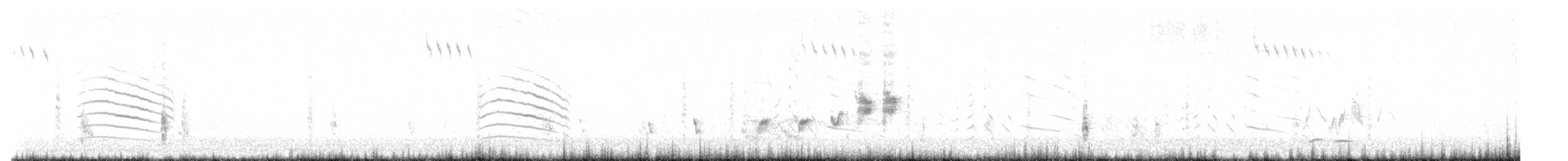 カノコスズメ - ML643750701