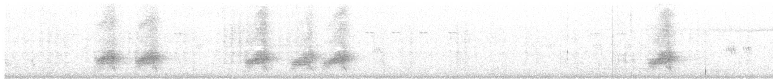 svartvingestær (tertius) - ML643751562