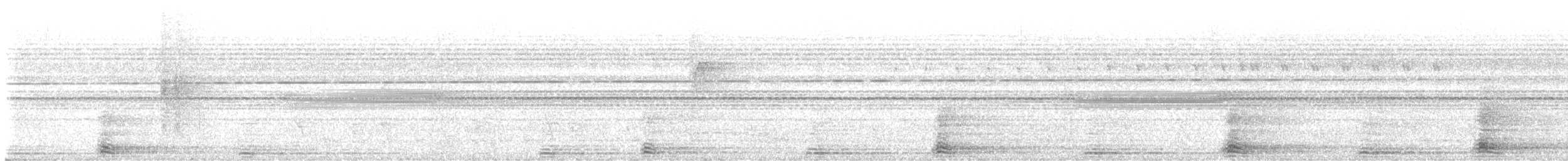 Rhinoceros Hornbill - ML643751636