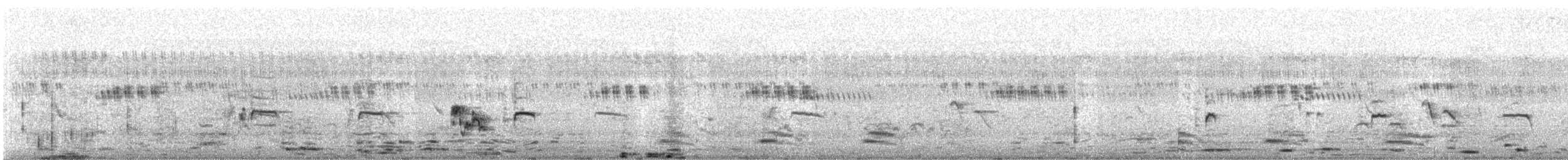 Мунія іржаста - ML643753286