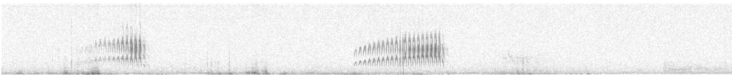 Synallaxe des rocailles - ML643753801