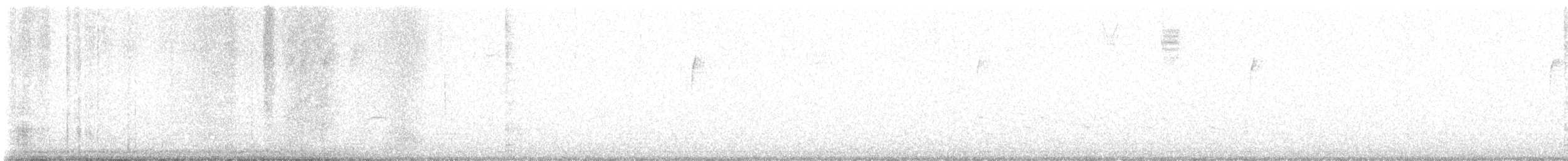 new world warbler sp. - ML643754042