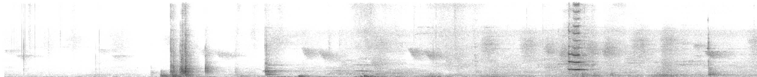 Ashy Drongo - ML643754665