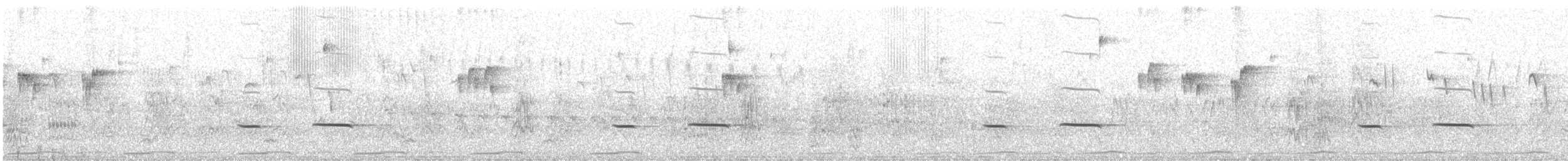 Striped Cuckoo - ML643754675