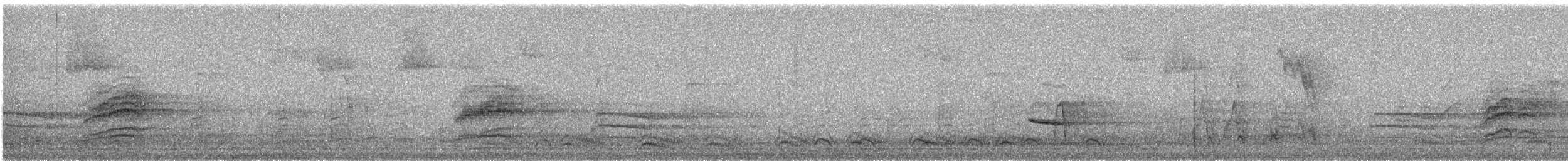 Hermit Thrush - ML643755156