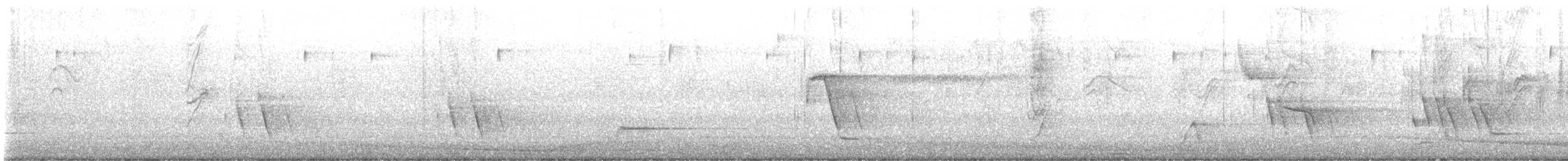 Scrub Blackbird - ML643755240