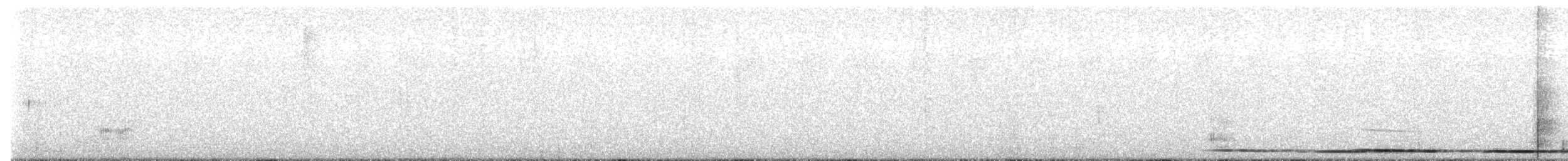 Yellow-legged Tinamou (noctivagus) - ML643757092