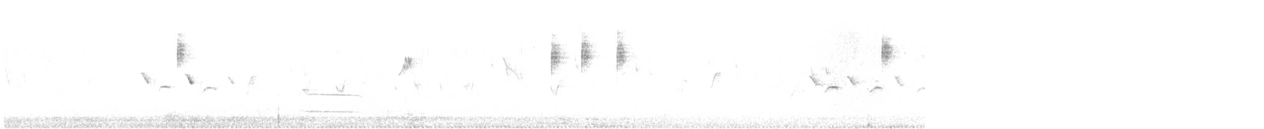 Pic noir - ML643757215