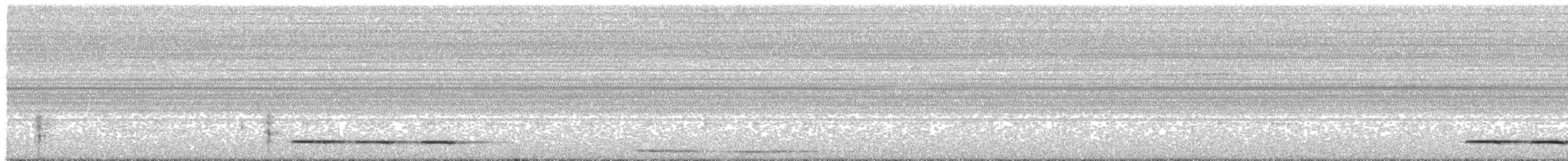 Chevêchette cabouré - ML643757525