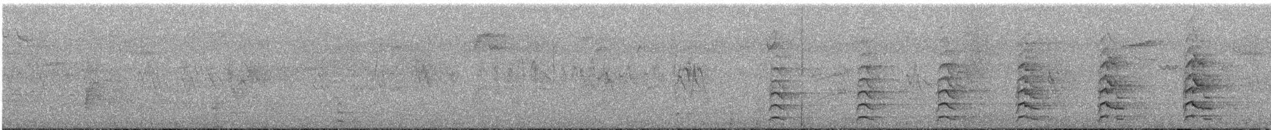 Red-shouldered Hawk - ML643759205