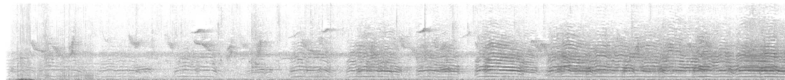 Hadada Ibis - ML643760475