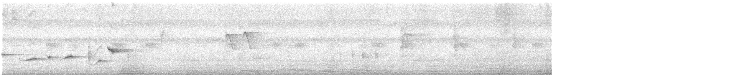 Abanico Pechipinto - ML643760519