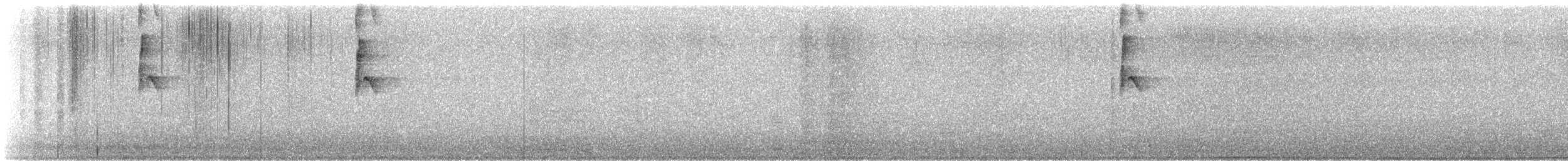 tyran obecný - ML643762941