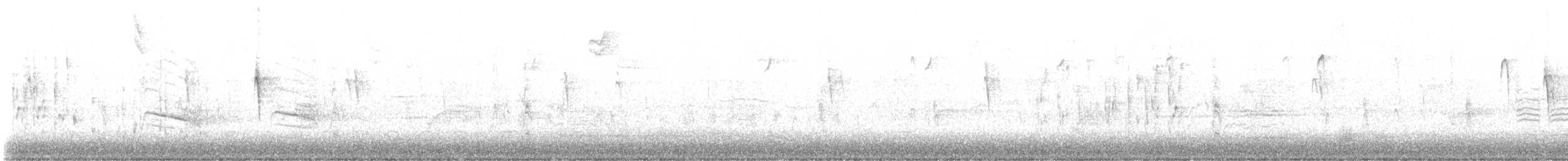 ハシナガヌマミソサザイ - ML643763583