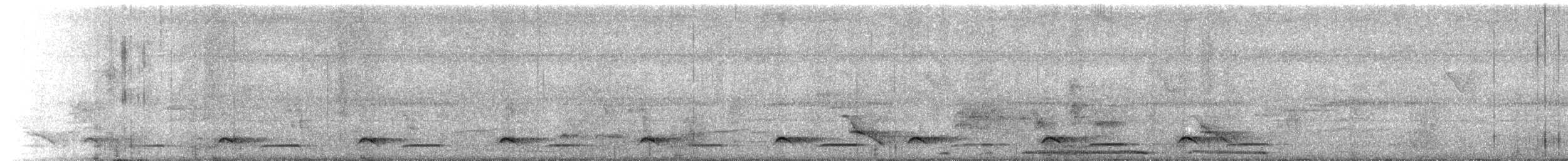 White-cheeked Partridge - ML643764173