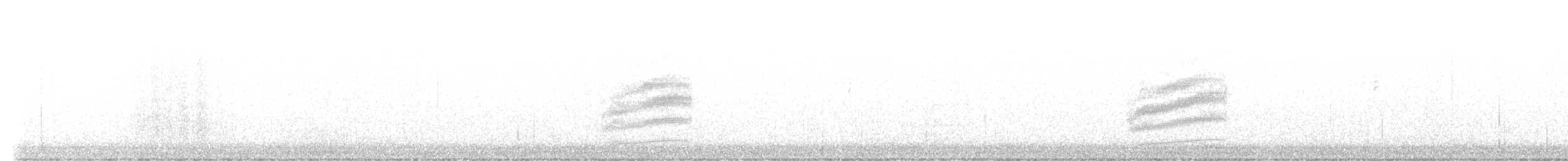 Пятнистый тохи - ML643766953
