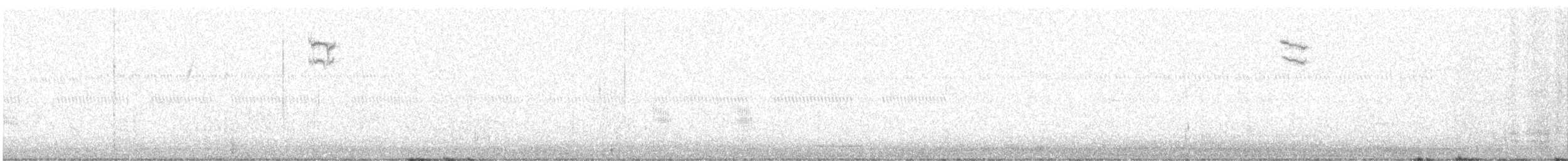 ネルソントゲオヒメドリ - ML643770671