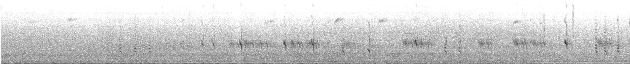 Scottish Crossbill - ML643771210