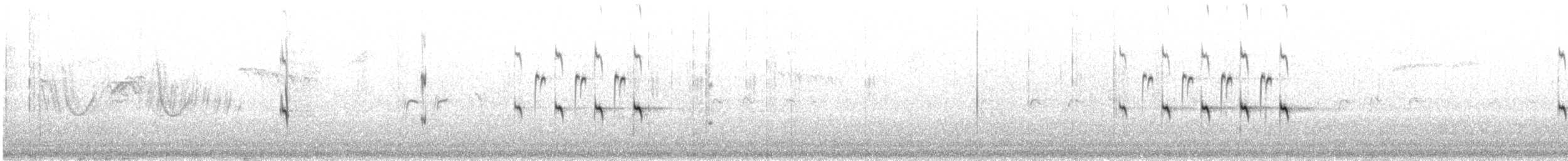 Scottish Crossbill - ML643771211