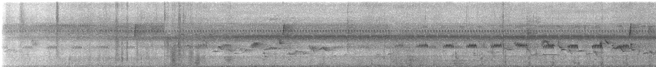 Eastern Warbling Vireo - ML643773169