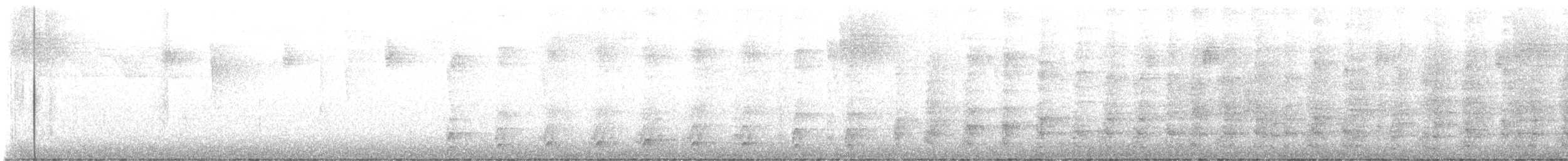 Puerto Rican Woodpecker - ML643773853