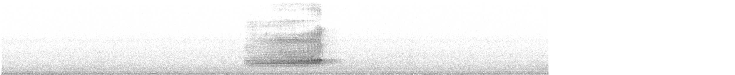 Western Barn Owl - ML643774477