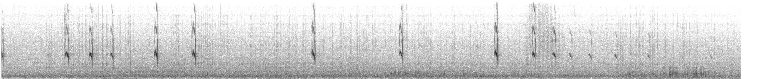 Scottish Crossbill - ML643775020