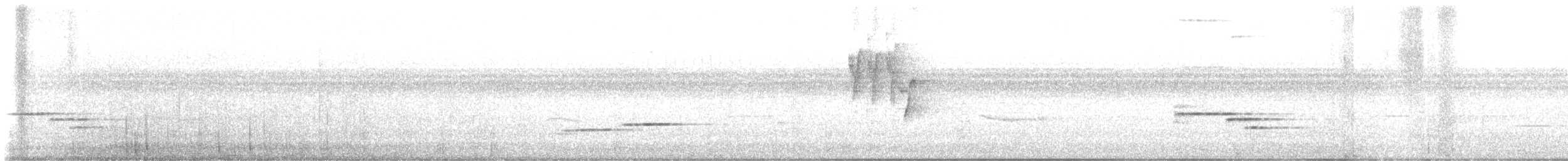 Nightingale Wren - ML643776038