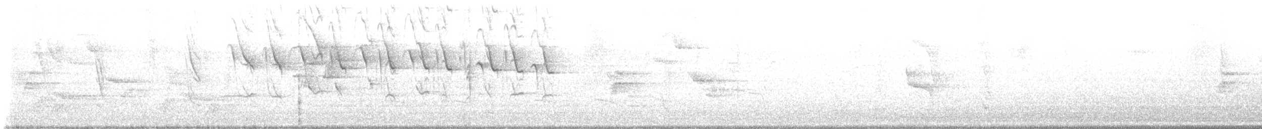 Tangara évêque - ML643777111