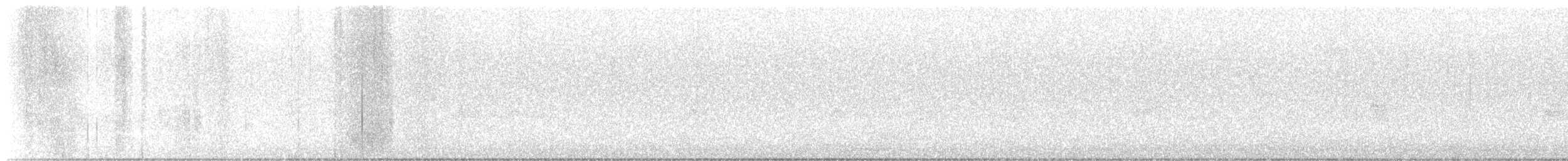 Northern Beardless-Tyrannulet - ML643777394