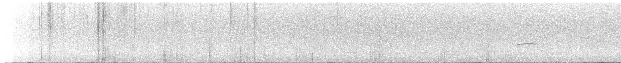 Northern Beardless-Tyrannulet - ML643777395