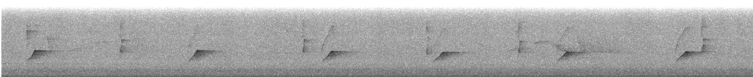 bladflatnebb - ML643778111